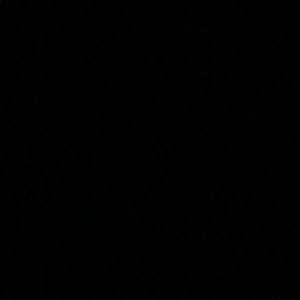 Meet your Posher, Katty